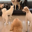 멍블랑 유치원 이미지