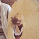 고분양태 이미지