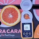 오렌지마켓 이미지