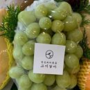 고이담아
