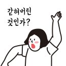 프리티멍 | 밴쿠버 잘 터지는 통신사 추천 프리티 캐나다 6개월 이용 후기