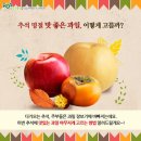 과일바빠