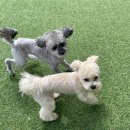 행복유치원 이미지