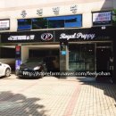 퍼피앤캣 | 중곡동 애견샵 로얄 퍼피&amp;캣 레일, 케이지 펜던트, fpl36w 2등 대체용 led 일자 등 설치 후기 1편(1층)