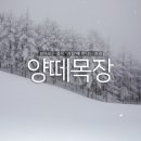 만물목장 이미지