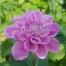 억대농장 이미지