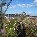 코스모스아파트경로당 이미지