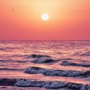 달홀문화센터(2층) | 강원도 고성 가볼만한곳 고성달홀영화관 설연휴 상영정보 &amp; 여행코스 추천