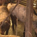 정병호농장 이미지