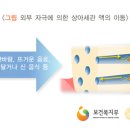 이라면 이미지