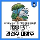 인선기업(주) | 태풍 장마 관련주 대장주 총정리 다가오는 2024년 장마기간 주목받을만한 종목