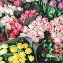 영덕설원꽃집 이미지