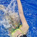 덕영대로2077번길 | 구성 마북 동백동 수영강습 전문 수영장ㅣ초보탈출 개인레슨ㅣ