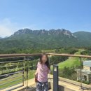 피노 | 고성 소노펠리체 빌리지 델피노 숙박 후기｜설악산 뷰에 온천수까지 만족했던 가족여행 😊