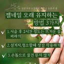 손톱하는날 - 안산시 단원구 고잔로 108 | 손톱하는날