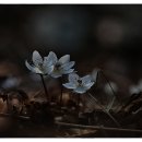 성주골 - 부천시 소사구 | 성주골