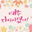 제일떡방앗간 이미지
