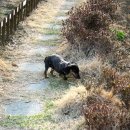 이가농장 이미지