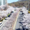 안성 조령천 이미지