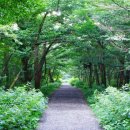 에코카랜드 이미지