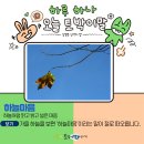 하늘오늘 이미지