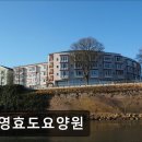 수영효도요양원 네이버블로그