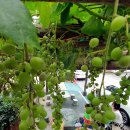 중흥2동 행정복지센터 앞 이미지