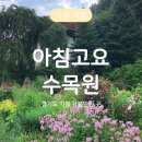 아침고요 수목원, 경기도 가평 여행 가볼만한 곳 (입장료, 소요시간)