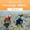 대야도어촌체험휴양마을 이미지