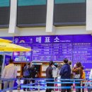 속초해수욕장 | 속초 해수욕장, 대관람차 실제 후기 총정리(가격 주차 시간)