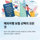 팜스플랜동물병원(출장전문) | 해외 여행 보험 비교 실전 팁