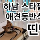 몰리스 놀이터/호텔 이미지