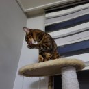 문경검도관 이미지