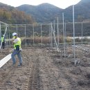 한농연농자재할인마트 | 태풍도 거뜬히 이겨내는 비닐하우스 / 경남 합천 포도 연동 하우스 현장