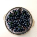 룰루베리오븐 이미지