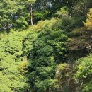 선운산 관광안내소 이미지