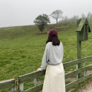 왕산골숲속 이미지