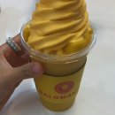 할로 | 보홀 여행 맛집 카페 망고스무디 망고쉐이크 맛집 할로망고 떨스티 비교 후기