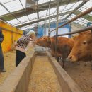 백동목장 이미지