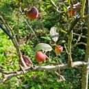 약수골 농장 이미지