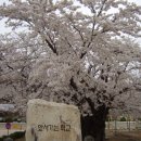 현북초등학교 이미지