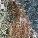 코리아헌터 이미지