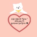 챠밍애견 네이버블로그