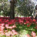 유스호텔 진입로 ~ 유스호텔 이미지