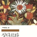 작가 수첩 들여다보기 | “오늘의 독서 - &lt;싯다르타&gt;와 헤르만 헤세 - 20250423”