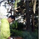 솔방울 구이 이미지