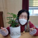 마음치유 생화 플로리스트 이미지