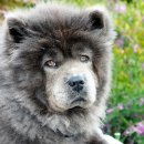 나음동물병원 이미지