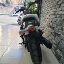 빈스 모터스 이미지