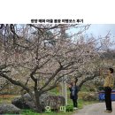 아름다운관광농원화수목 | 광양 매화 마을 봄꽃 여행코스 홍쌍리 청매실농원